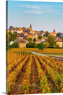 France, Bourgogne-Franche-Comte, Burgundy, Cote-D'or, Monthelie