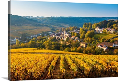 France, Bourgogne-Franche-Comte, Burgundy, Cote-D'or, Pernand-Vergelesses