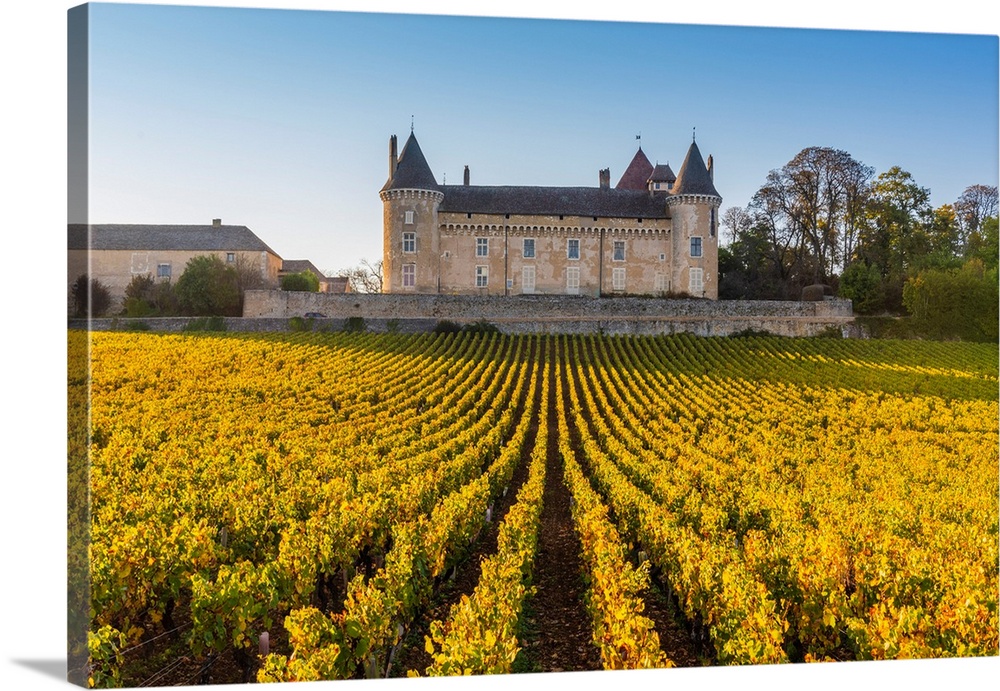 France, Bourgogne-Franche-Comte, Burgundy, Saone-et-Loire, Rully. Chateau de Rully.