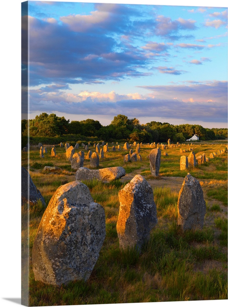 France, Brittany, morbihancarnac, megalithic menhir alignments of Menec, wide view.