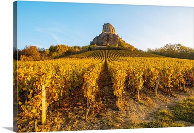 France, Burgundy, The Limestone Rock Of Solutre And Its Surrounding Vineyards