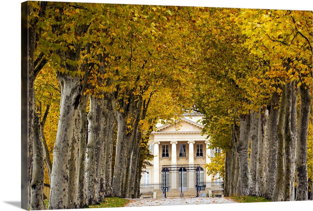France, Aquitaine Region, Gironde Department, Haute-Medoc Area, Margaux, Chateaux Margaux estate