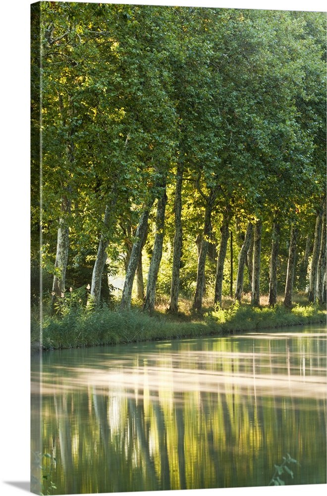 France, Languedoc-Rousillon, Canal du Midi. The Canal du Midi in Southern France connects the Garonne River to the Etang d...