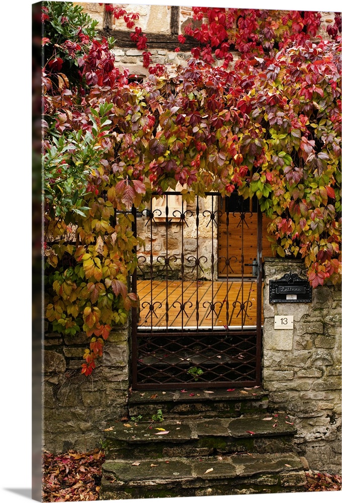 France, Midi-Pyrenees Region, Tarn Department, Cordes-sur-Ciel, gate with autumn foliage