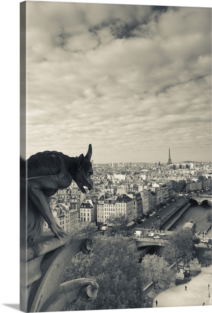 France, Paris, elevated city view from the Cathedrale Notre Dame cathedral with gargoyles