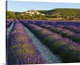 image thumbnail of France, Provence, Banon, lavender to foreground