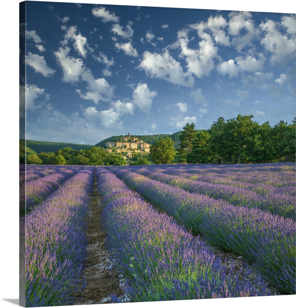 France; Provence; Provence-Alpes-Cote d'Azur; Banon