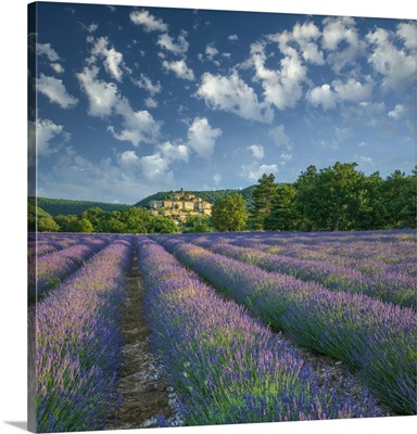 France, Provence, Provence-Alpes-Cote d'Azur, Banon