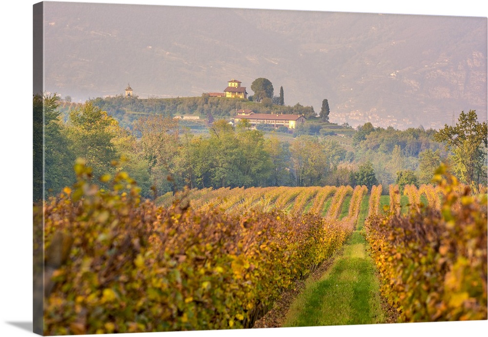 Franciacorta, Brescia province, Lombardy district, Italy, Europe.