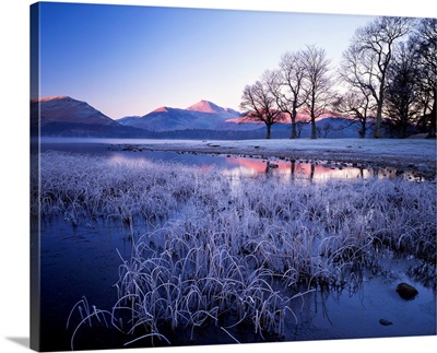Frost On Derwent Water, Lake District National Park, Cumbria, England