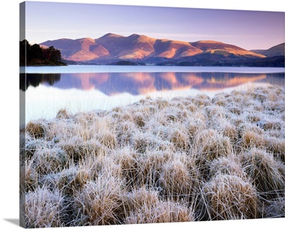 Frosted Grasses And Skiddaw Reflecting In Derwent Water, Cumbria, England