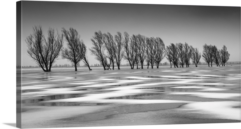 Frozen floodwater, Biebrza Marshes, Poland. Central & Eastern Europe, Poland.