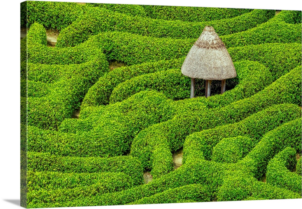 Garden Maze at Glendurgan Gardens, Falmouth, Cornwall, England.