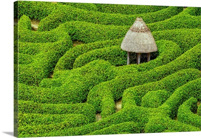 Garden Maze At Glendurgan Gardens, Falmouth, Cornwall, England