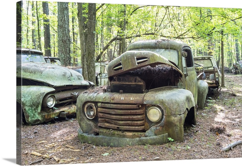 Georgia, Old Car City Classic Car & Truck Collection, Junkyard, Museum