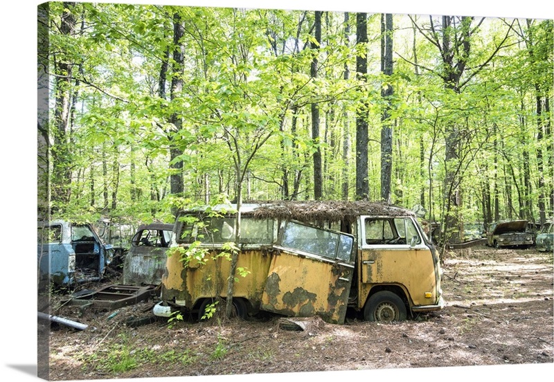 Georgia, Old Car City Classic Car & Truck Collection, Junkyard, Museum