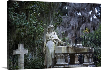 Georgia, Savannah, Bonaventure Cemetery, Live Oaks, Hanging Moss