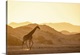 image thumbnail of Giraffe, Skeleton Coast National Park, Namibia
