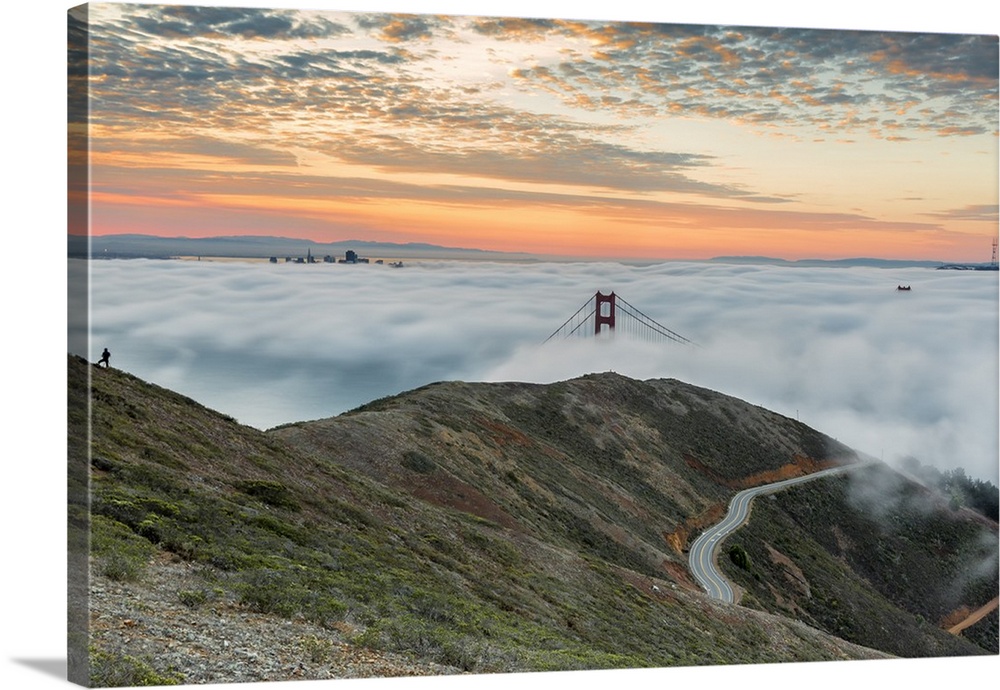 Golden Gate Bridge with morning fog shot at sunrise from Slackers Hill. San Francisco, Marin County, California, USA.