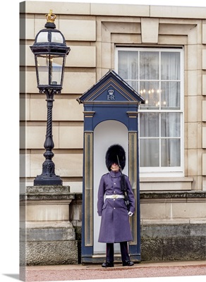 Guard at Buckingham Palace, London, England, United Kingdom
