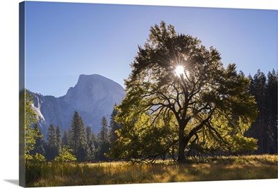 Half Dome, Yosemite Valley, California