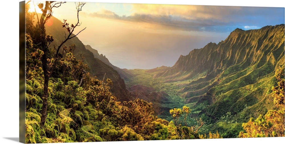 Hawaii, Kauai, Na Pali Coast, Kalalau Valley Wall Art, Canvas Prints