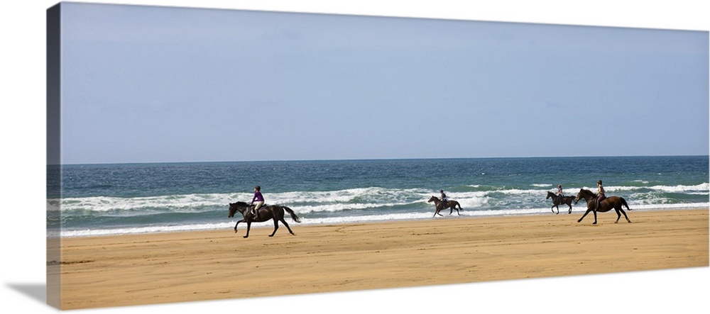 Horse riders galloping down sandy Cornish beach on a summer's day, Sandymouth, Cornwall, England. Summer, September, 2009.