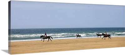 Horse riders galloping down sandy Cornish beach, Sandymouth, Cornwall, England