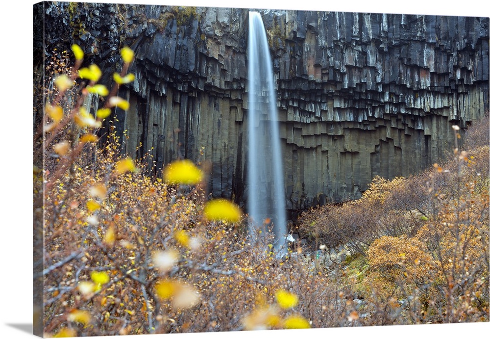 Europe, Iceland, Skaftafell National Park, Svartifoss waterfall.