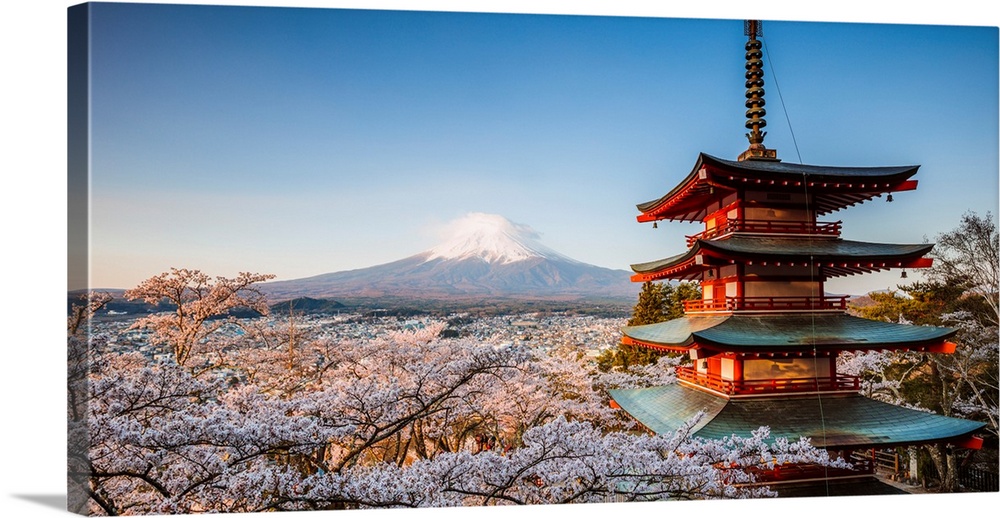 Iconic Chureito pagoda during cherry blossom season with Mt. Fuji, Fuji Five lakes, Japan.