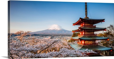 Iconic Chureito Pagoda During Cherry Blossom Season, Mt. Fuji, Fuji Five Lakes, Japan