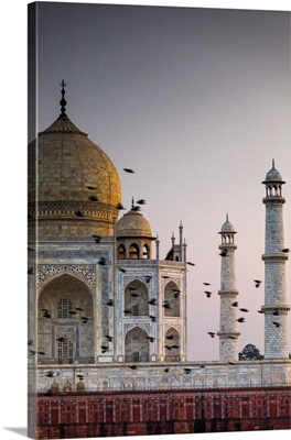 India, Birds Flock In Front The Taj Mahal Dome At Sunset