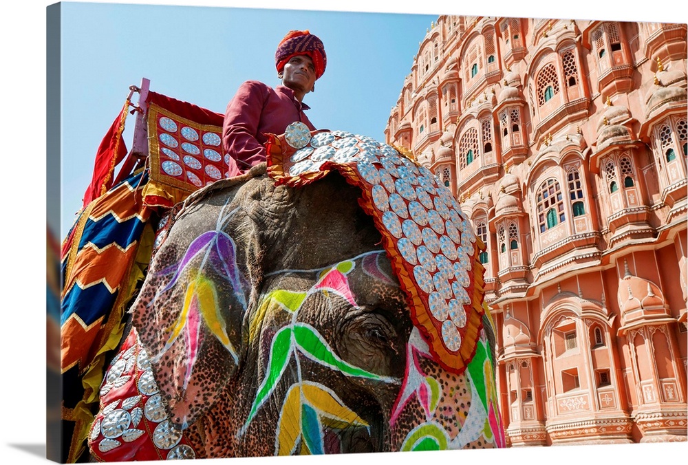 India, Rajasthan, Jaipur, Ceremonial decorated Elephant outside the Hawa Mahal, Palace of the Winds, built in 1799, (MR)