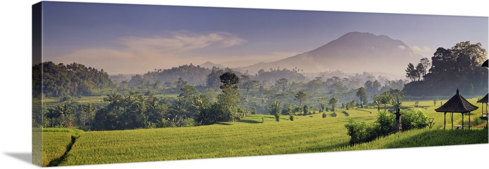 Indonesia, Bali, Sidemen, Iseh, Rice Fields and Gunung Agung Volcano