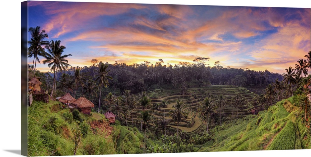 Indonesia, Bali, Ubud, Ceking Rice Terraces