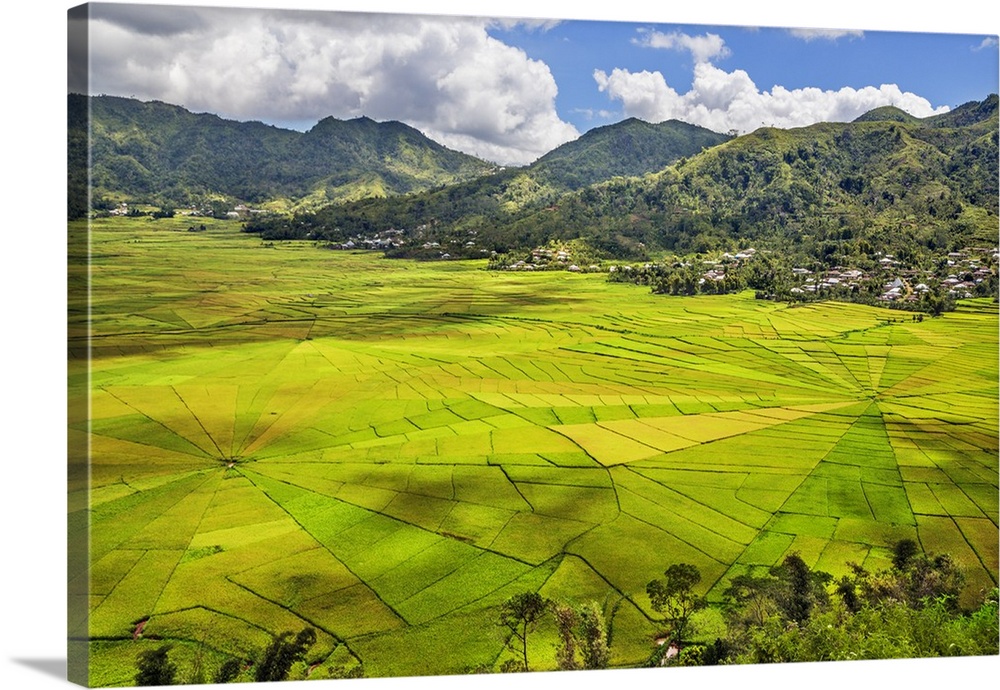 Indonesia, Flores Island, Cancar. The attractive Spider's Web rice paddies near Ruteng.