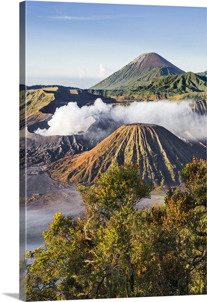 Indonesia, Java, Bromo. A stunning volcanic landscape from Mount Penanjakan at sunrise. Active Mount Bromo (left) and Moun...