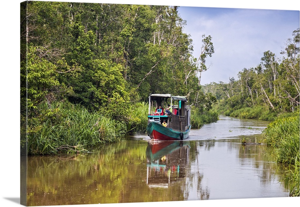 Indonesia, Central Kalimatan, Tanjung Puting National Park. Visitors to Tanjung Putting National Park search for wildlife ...