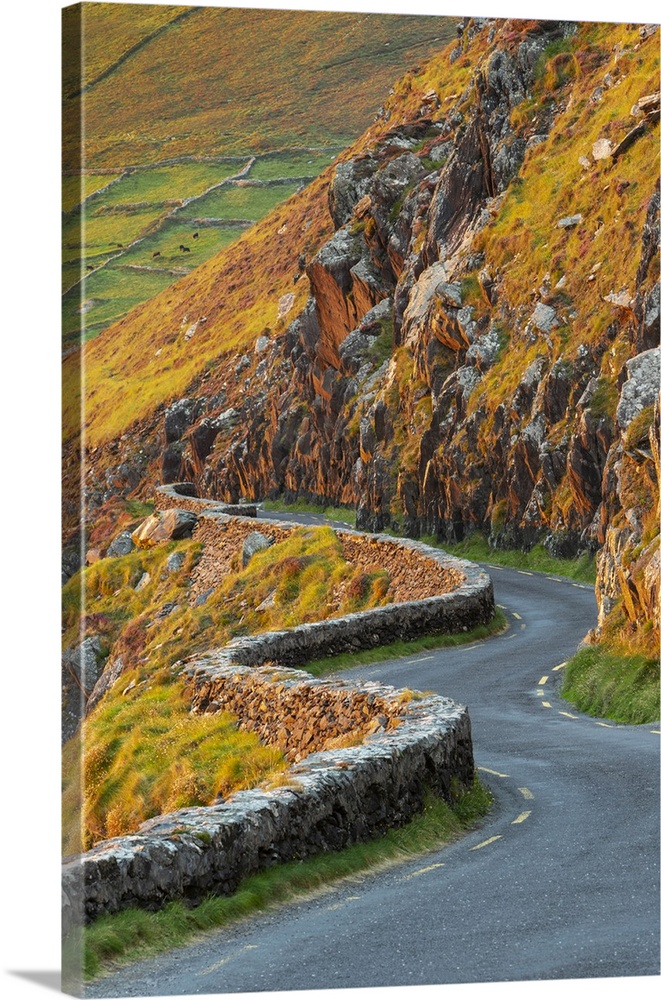 Ireland, Co.Kerry, Dingle, Slea Head, winding country road