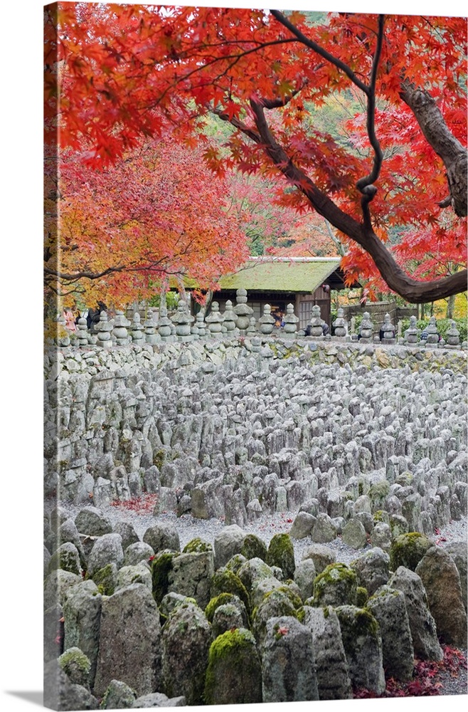 Asia, Japan. Kyoto, Sagano, Arashiyama, Adashino Nenbutsu dera temple, stone lanterns and buddha images.