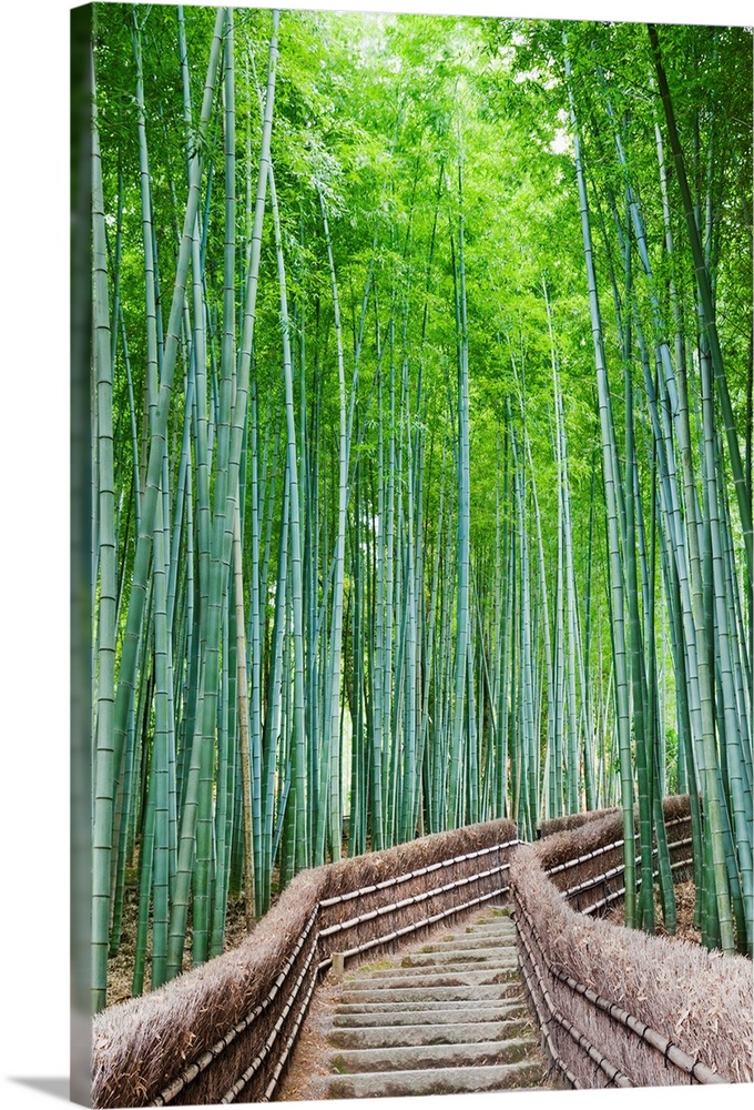 Temple Bamboo