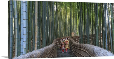 Japan, Kyoto, Arashiyama, Adashino Nembutsu-ji Temple, Bamboo Forest