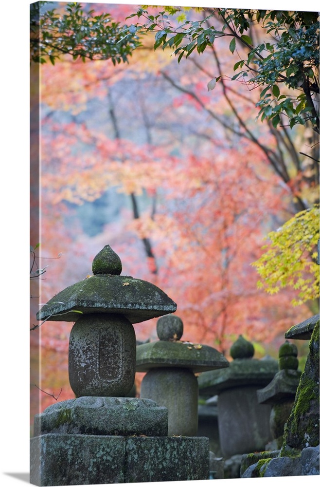 Asia, Japan. Kyoto, Sagano, Nison in (Nisonin) Temple, (834), stone lantern amongst red autumn leaves.