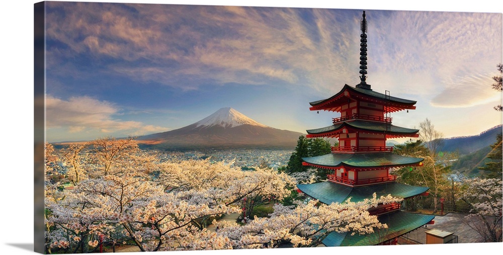 Japan, Yamanashi Prefecture, Fuji-Yoshida, Chureito Pagoda, Mt Fuji and Cherry Blossoms.