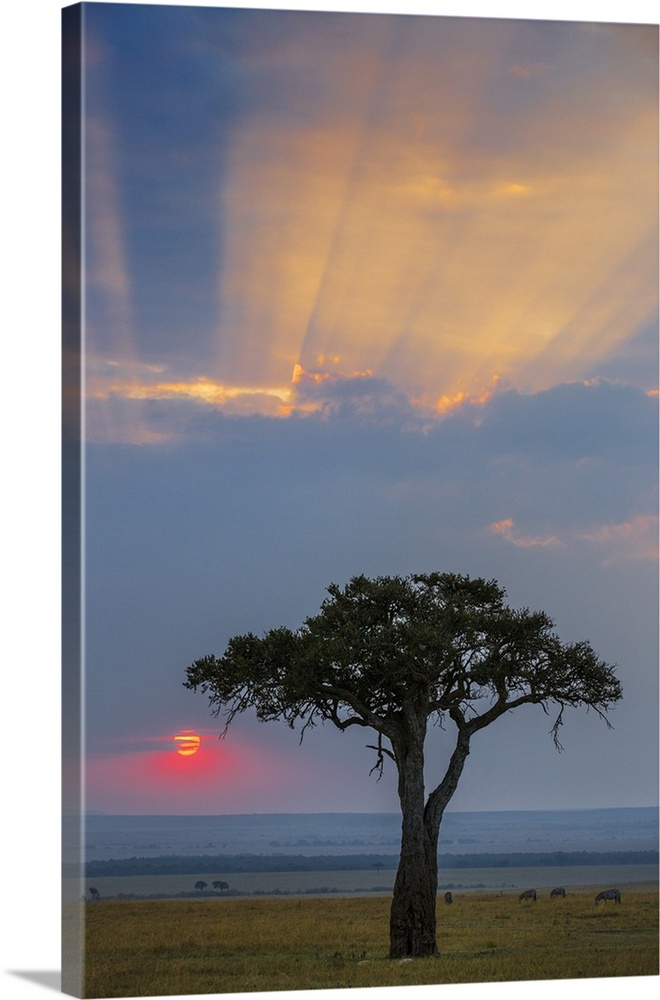 Kenya, Masai Mara, Narok County. Sunrise in Masai Mara National Reserve.