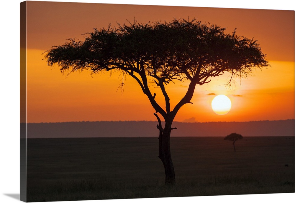 Kenya, Masai Mara, Narok County. Sunset in Masai Mara National Reserve.