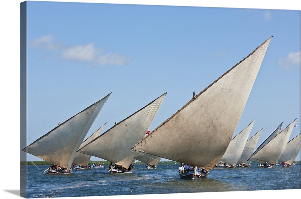 Kenya. Mashua sailing boats participating in a race off Lamu Island.