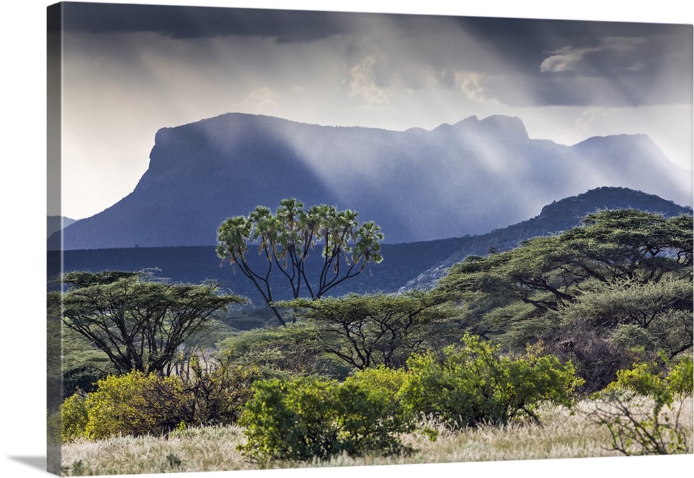 Kenya, Shaba National Reserve, Isiolo County. Rays of sunlight break through a threatening sky near Ol doinyo Sabachi, a p...