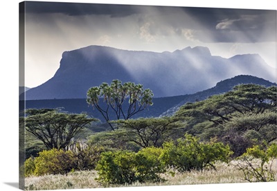 Kenya, Rays of sunlight break through a threatening sky near Ol doinyo Sabachi