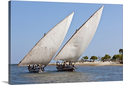 Kenya, Two Jahazi boats sailing off Lamu Island
